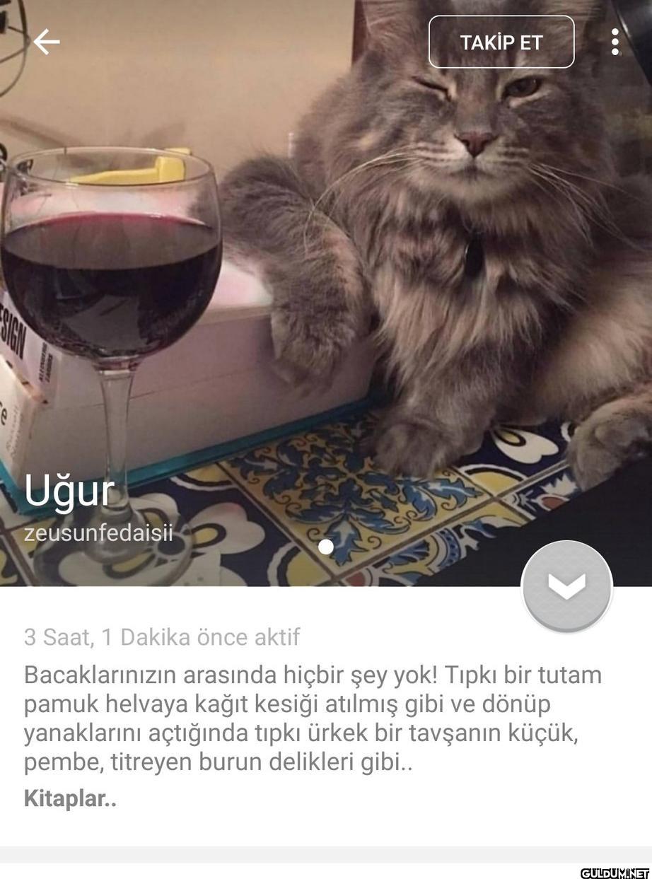 IGHT Uğur zeusunfedaisii...