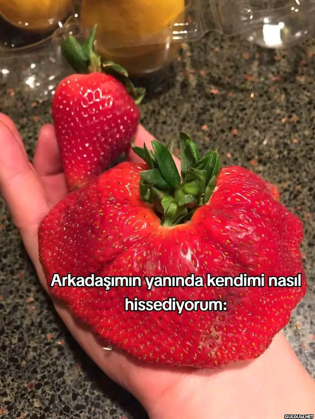Arkadaşımın yanında...