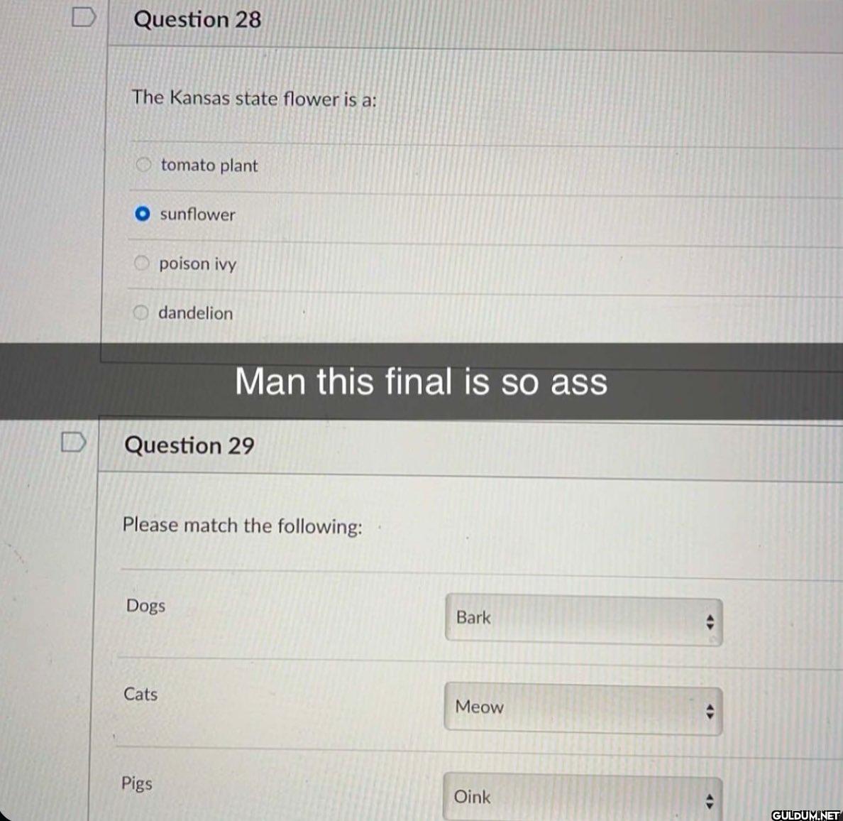 Question 28 The Kansas...
