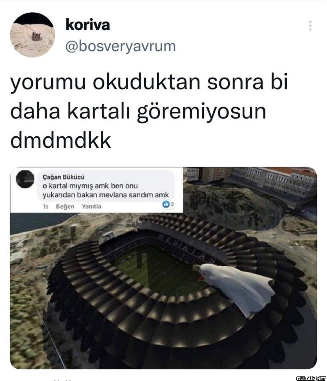 yorumu okuduktan sonra bi...
