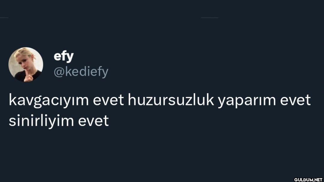 kavgacıyım evet...
