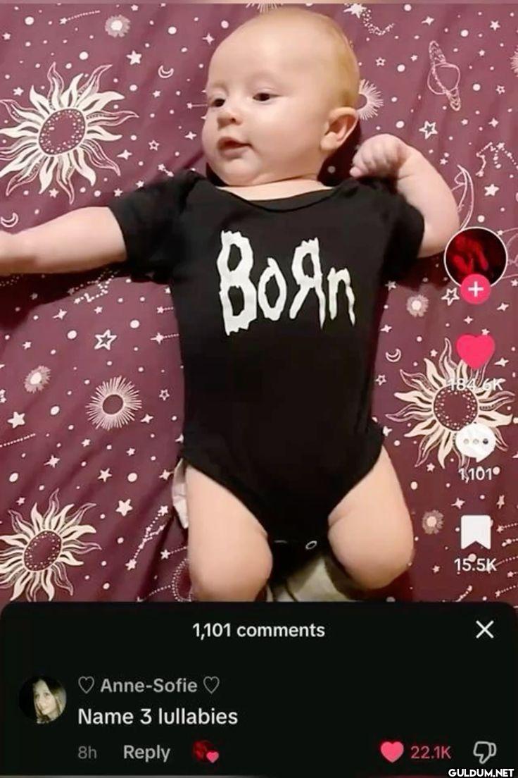 BOAN 1,101 15.5K 1,101...