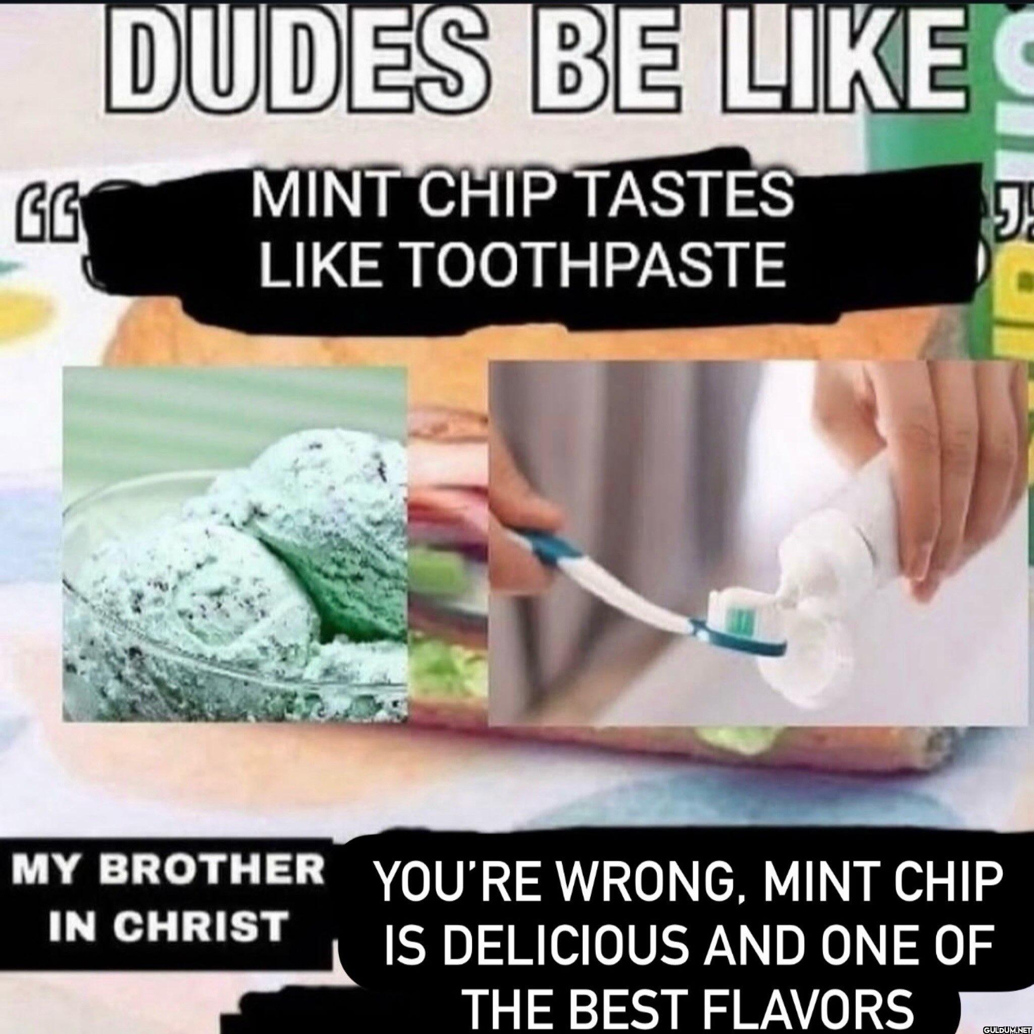 DUDES BE MINT CHIP TASTES...
