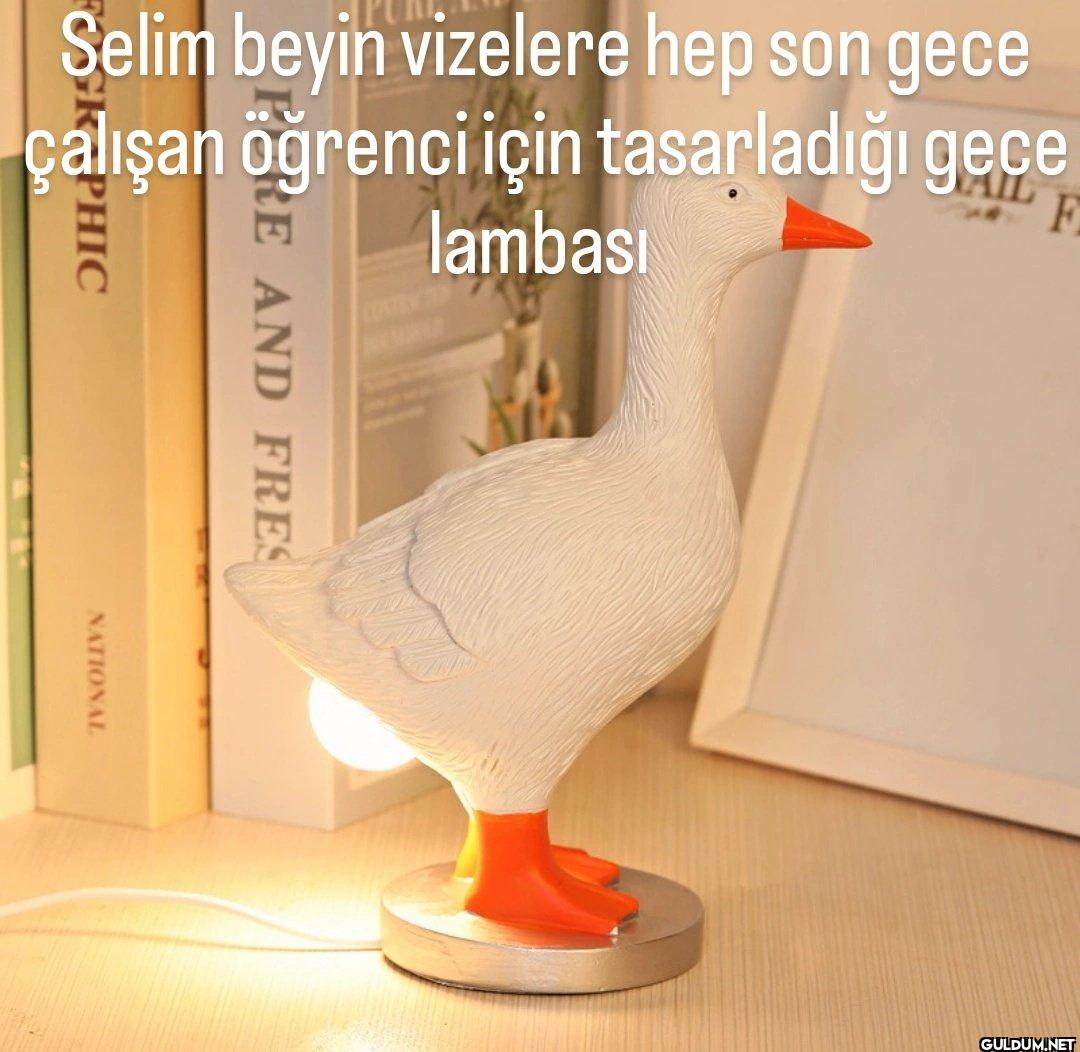 Selim beyin vizelere hep...