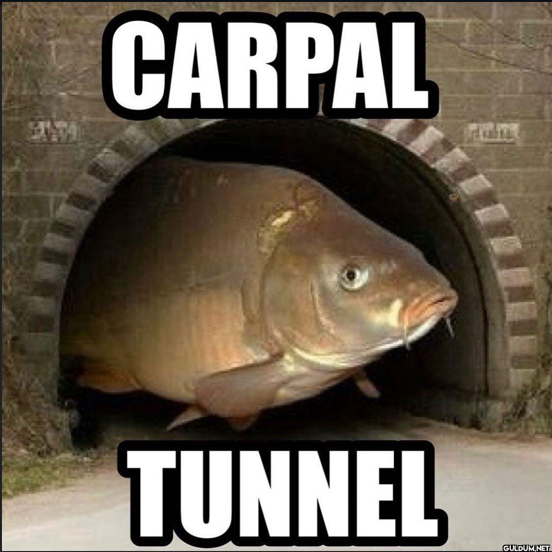 CARPAL TUNNEL