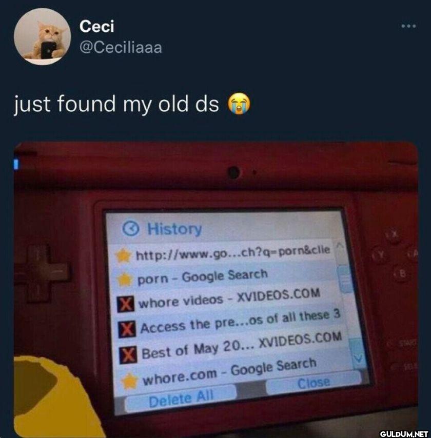 just found my old ds...