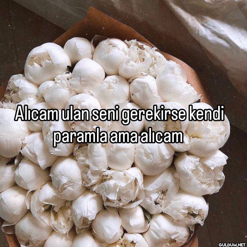 Alıcam ulan seni gerekirse...