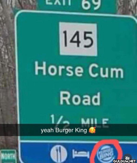 69 145 Horse Cum Road 1/...