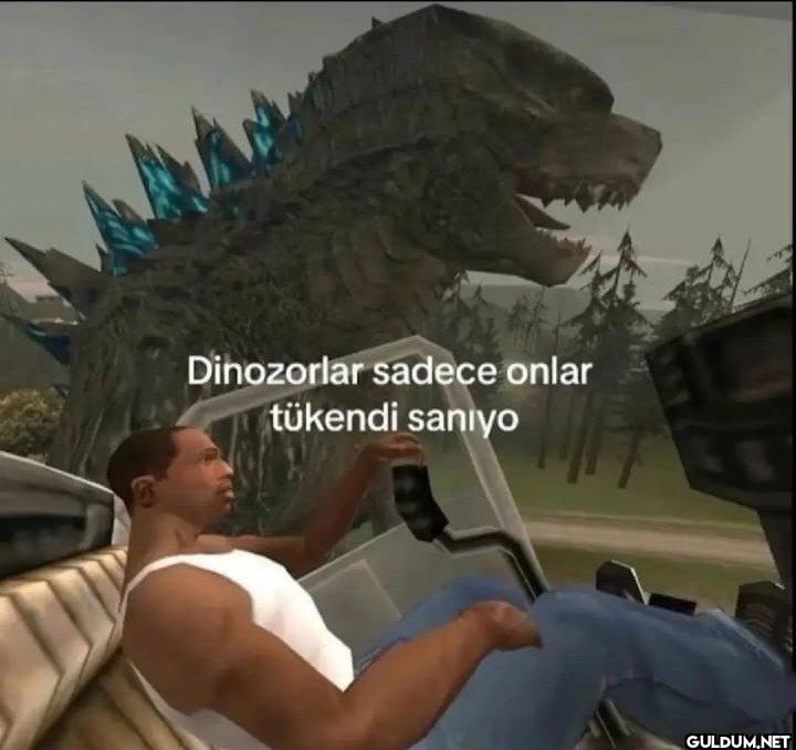 Dinozorlar sadece onlar...