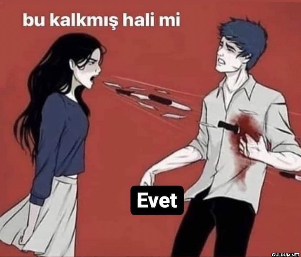 bu kalkmış hali mi Evet
