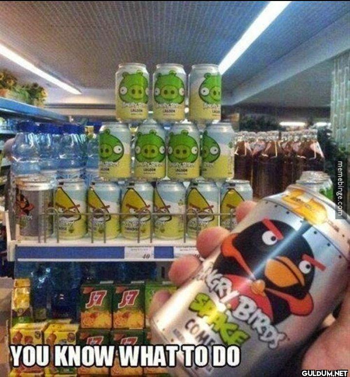 SALDON MADSE memebinge.com...