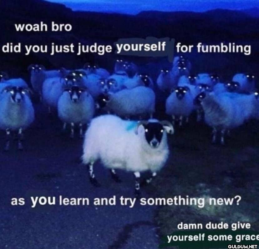 woah bro did you just...