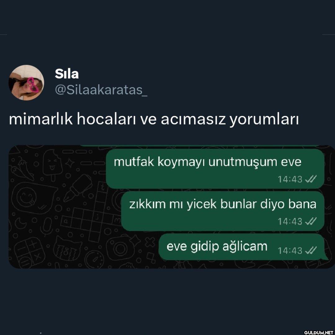 mimarlık hocaları ve...