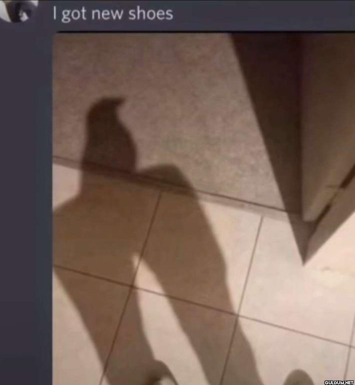 I got new shoes