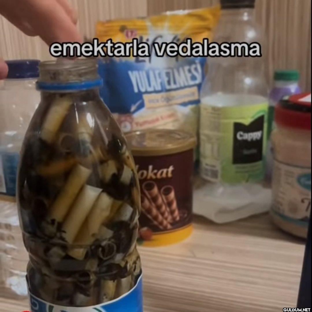 emektarla vedalasma...