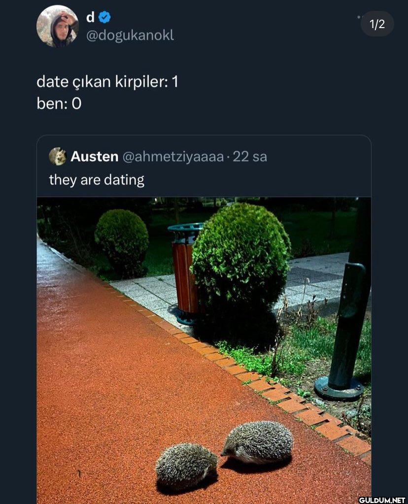date çıkan kirpiler: 1...