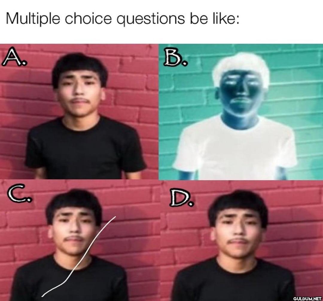 Multiple choice questions...