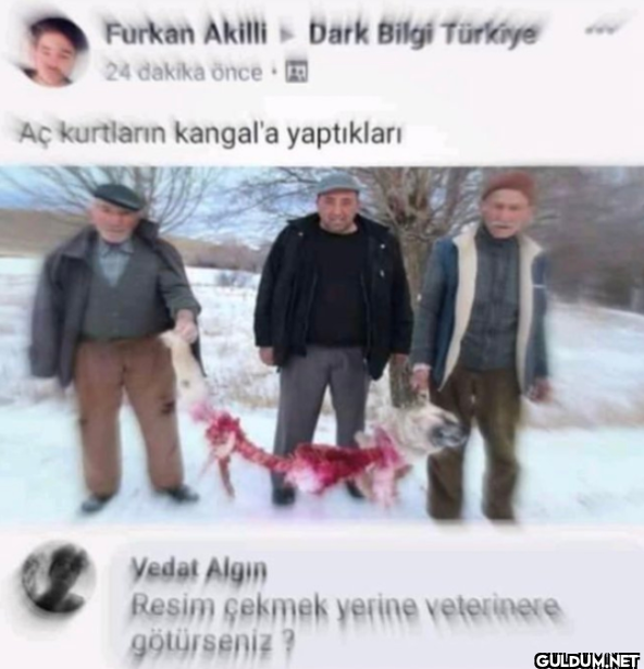 1000IQ    Furkan Akilli...
