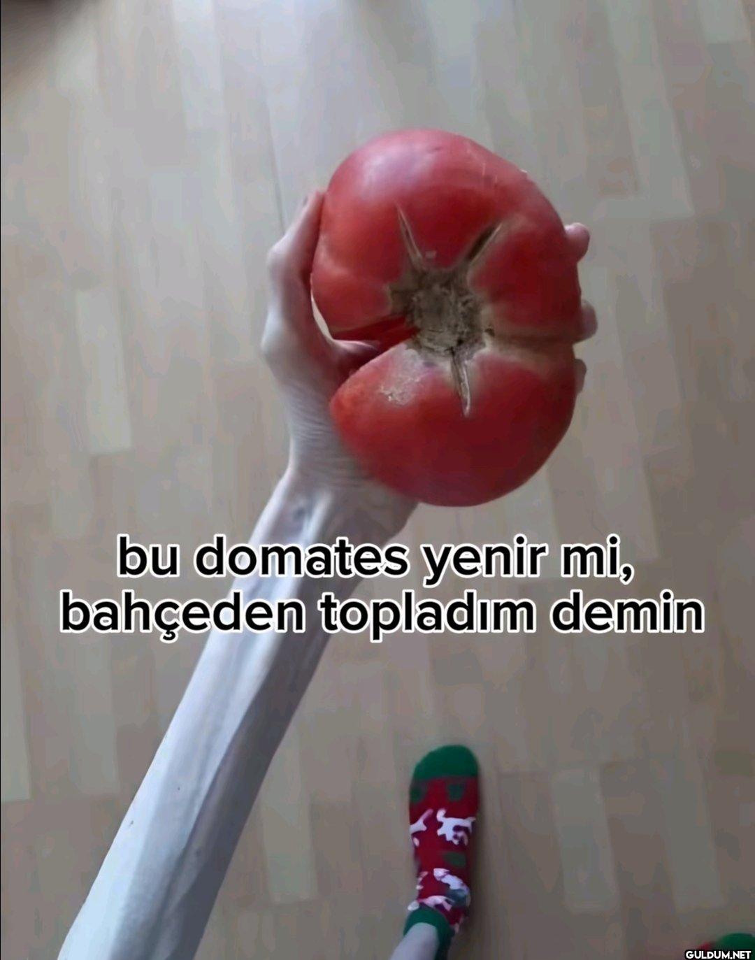 bu domates yenir mi,...