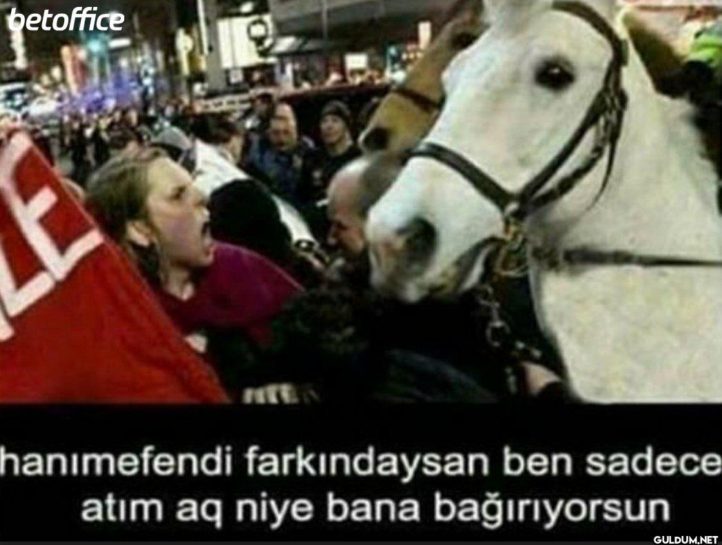 betoffice hanımefendi...