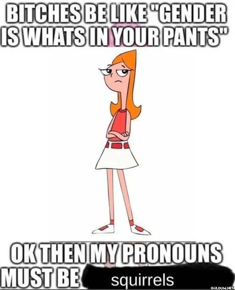 BITCHES BE LIKE "GENDER IS...