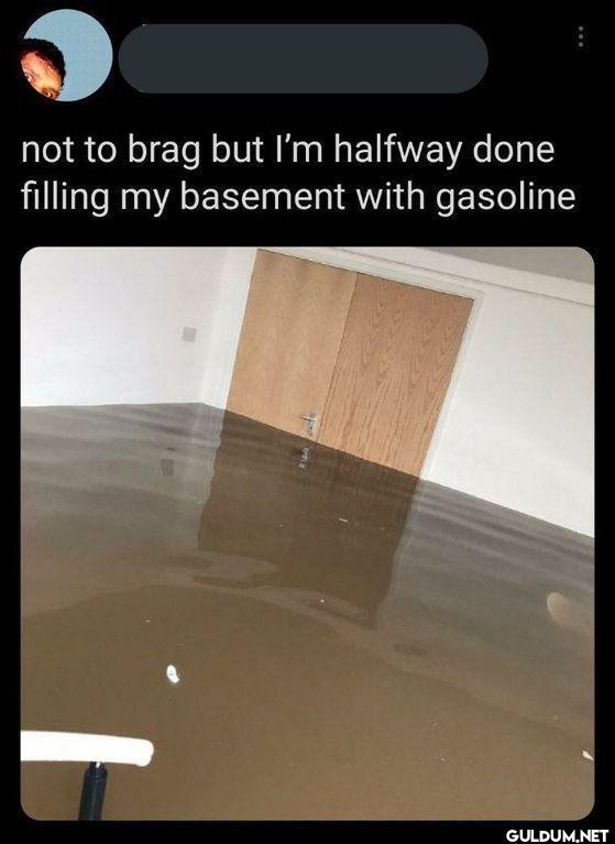 not to brag but I'm...
