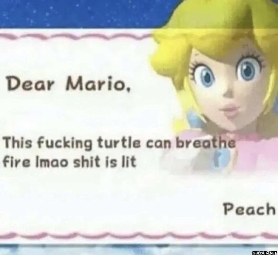 Dear Mario, This fucking...