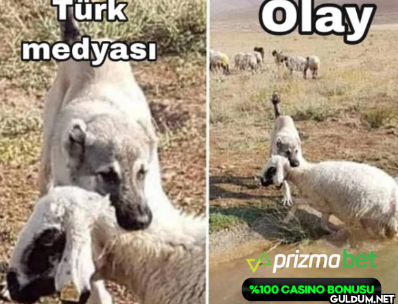 Türk medyası Olay prizma...