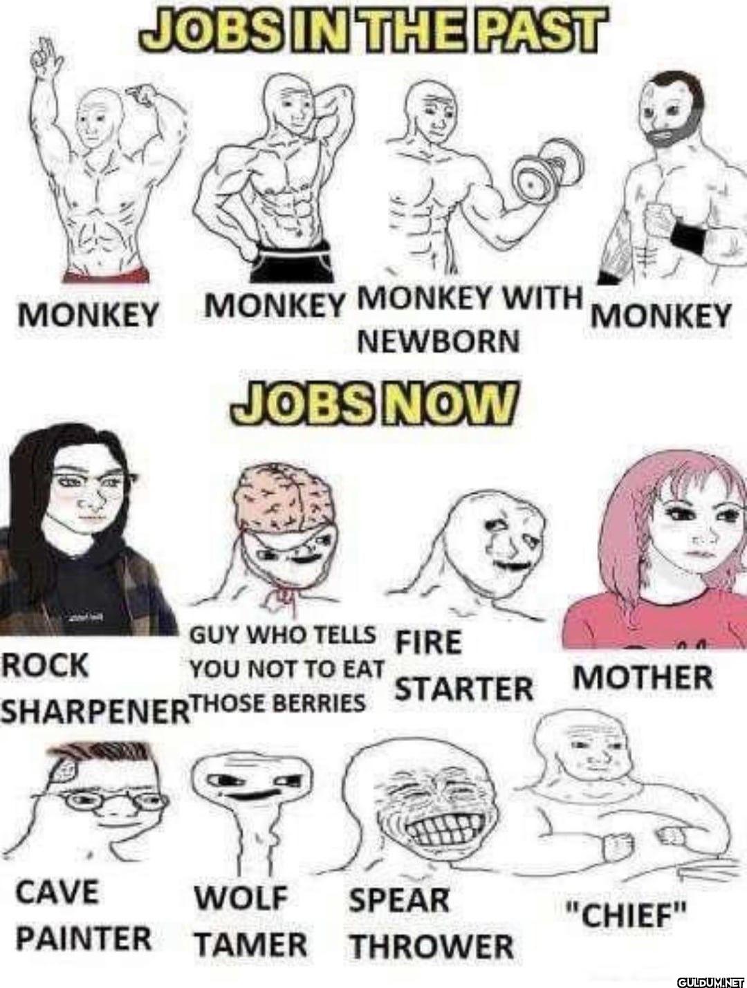 JOBS IN THE PAST MONKEY...
