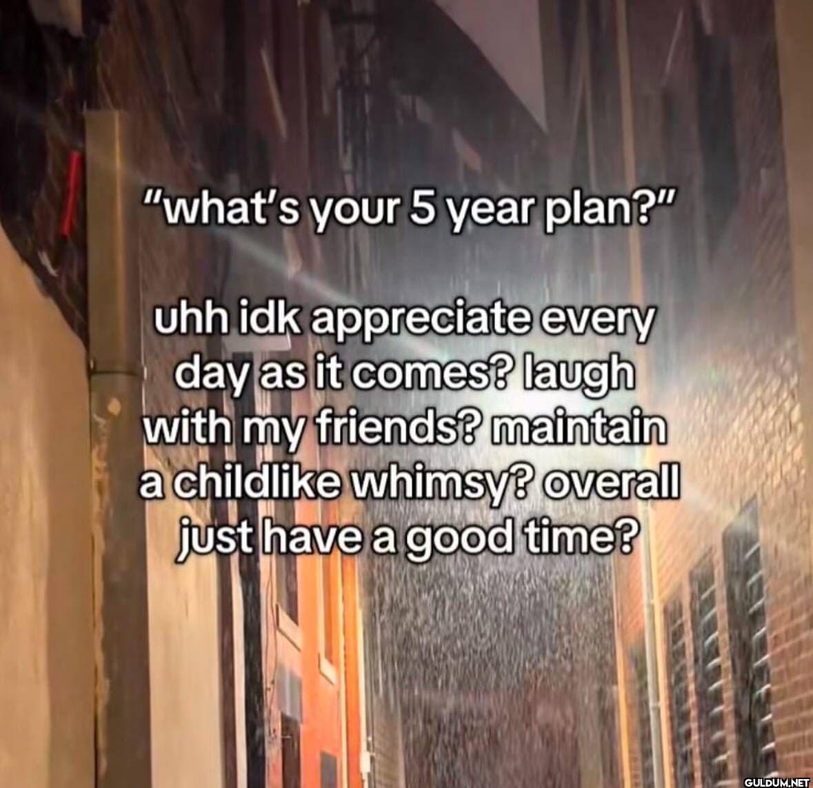 "what's your 5 year plan?"...