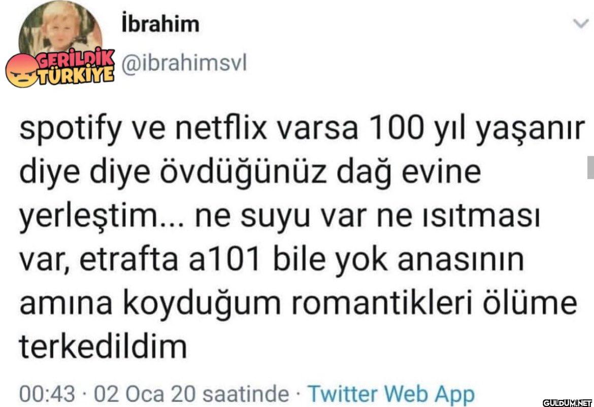 TÜRKİYE spotify ve netflix...