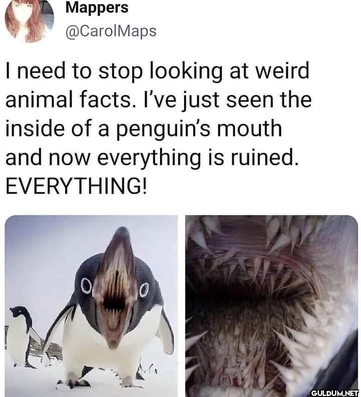 I need to stop looking at...