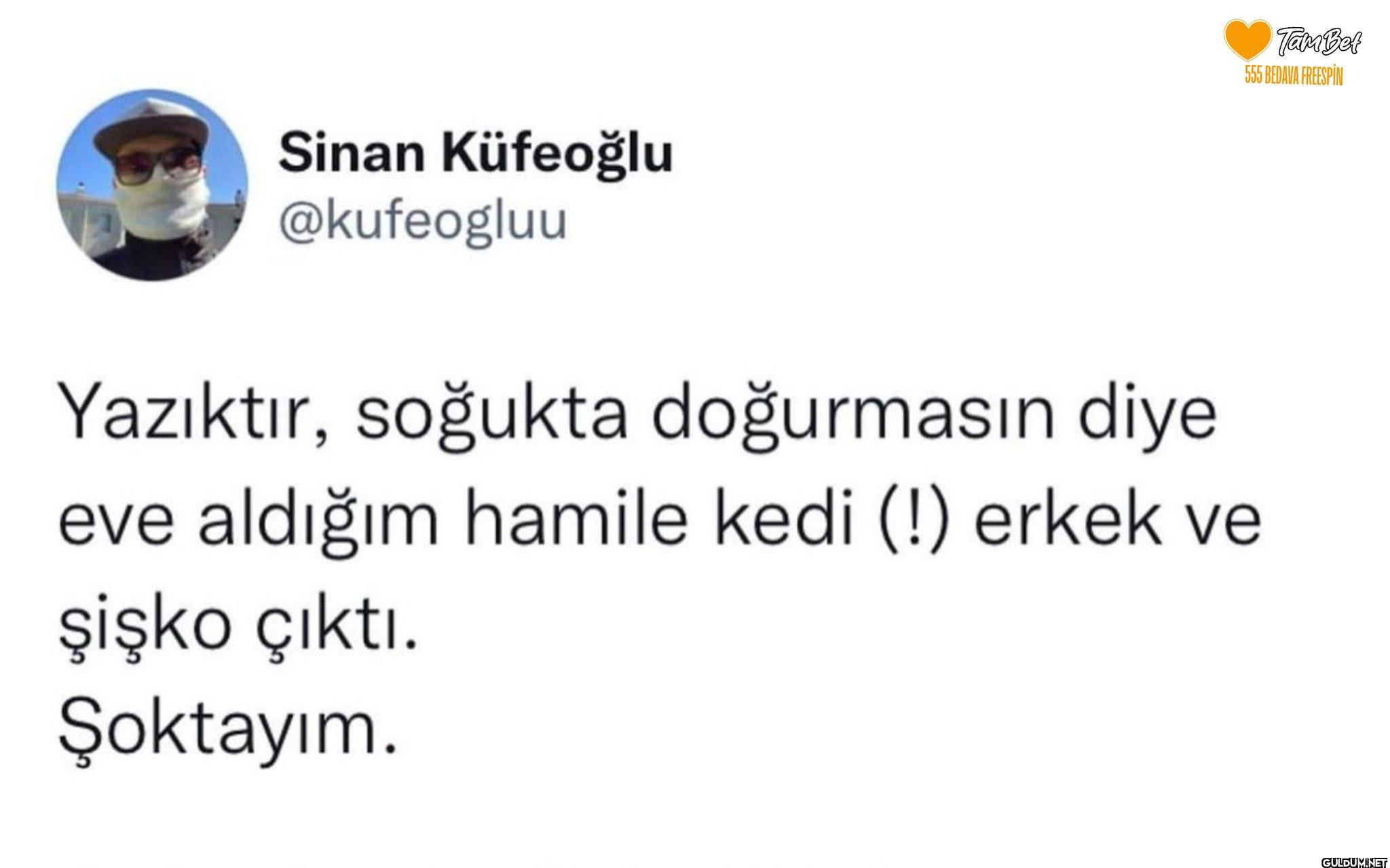 hajsjdkkfkfkfkkdkdkdks   ...
