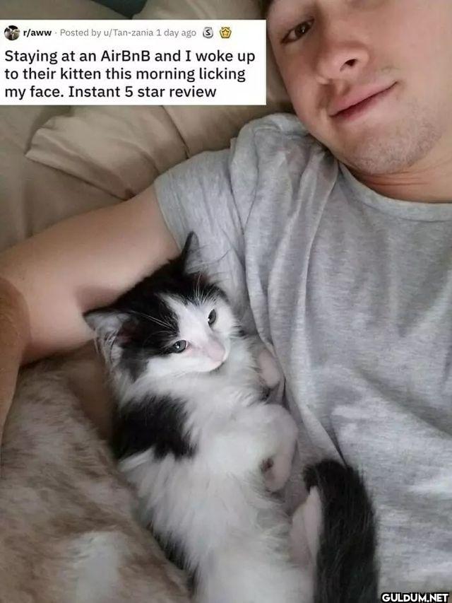 r/aww Posted by...