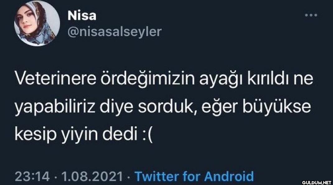 Veterinere ördeğimizin...