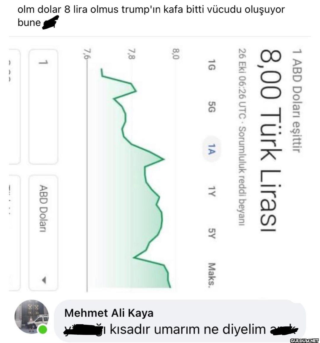 8,0 olm dolar 8 lira olmus...
