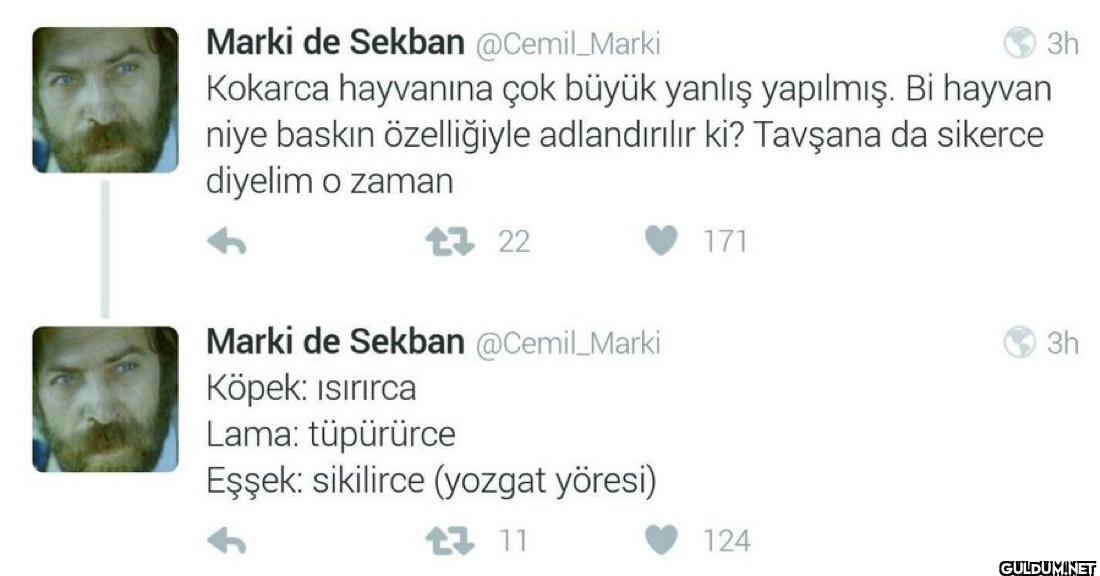 Kokarca hayvanına çok...