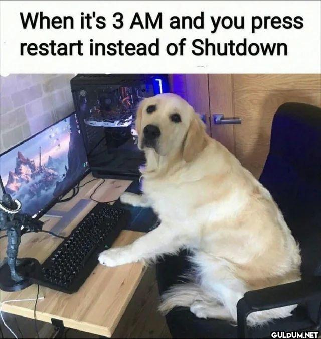 When it's 3 AM and you...