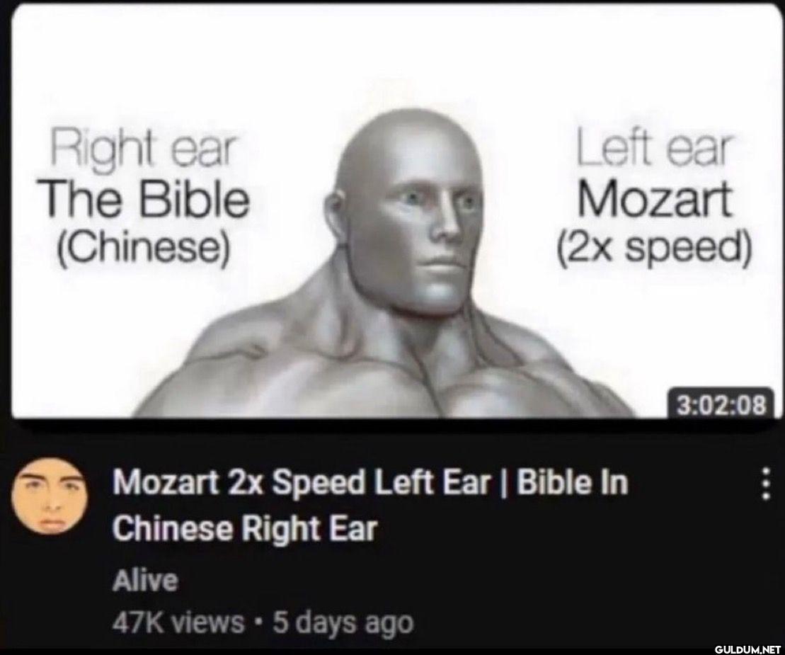 Right ear The Bible...