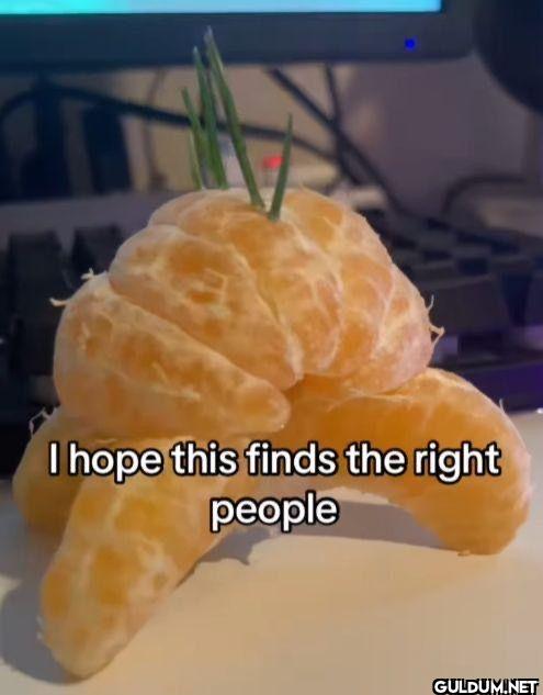 I hope this finds the right people