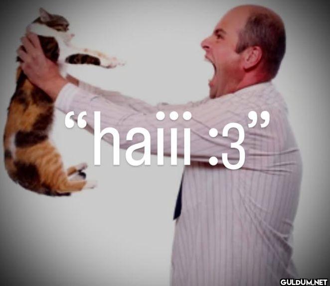 haiii 3
