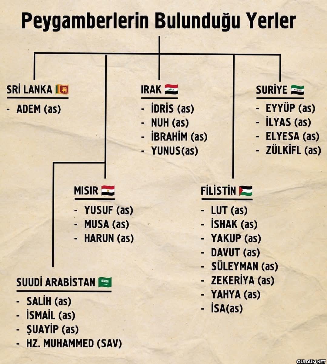 Peygamberlerin geldiği...
