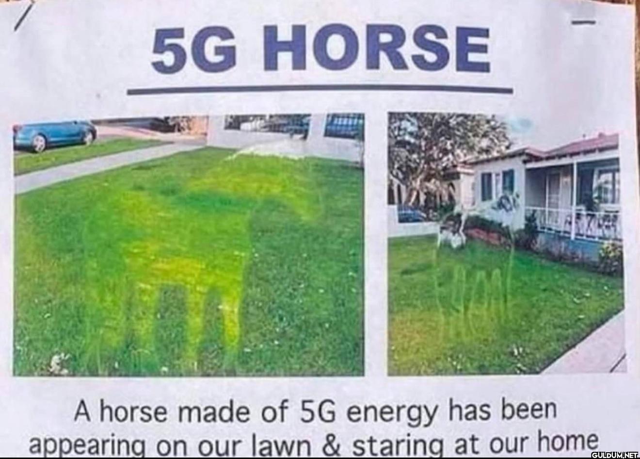 5G HORSE A horse made of...
