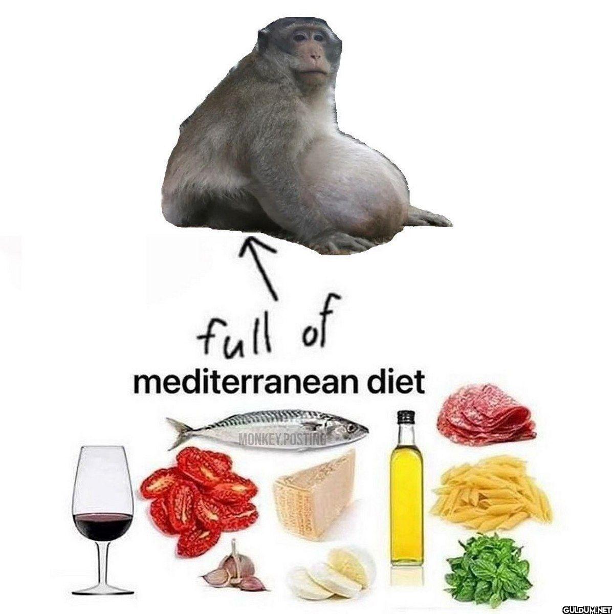 full of mediterranean diet...