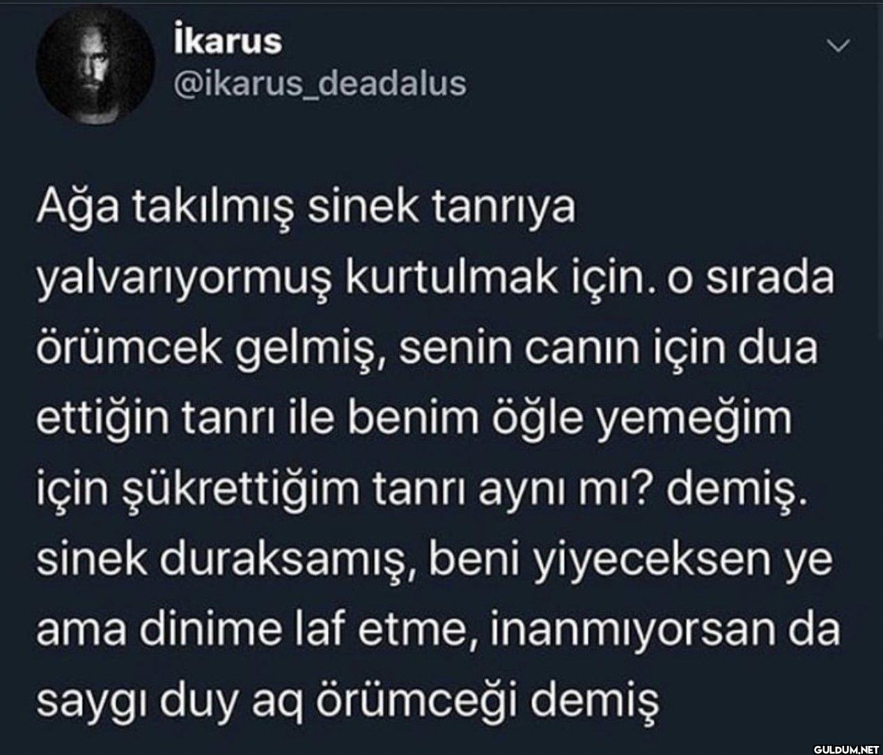 Ağa takılmış sinek tanrıya...