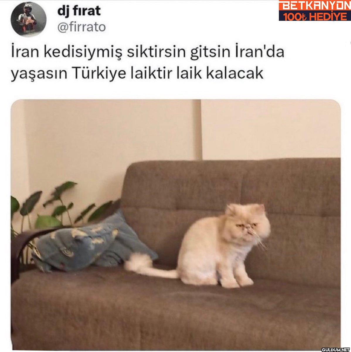 İran kedisiymiş siktirsin...