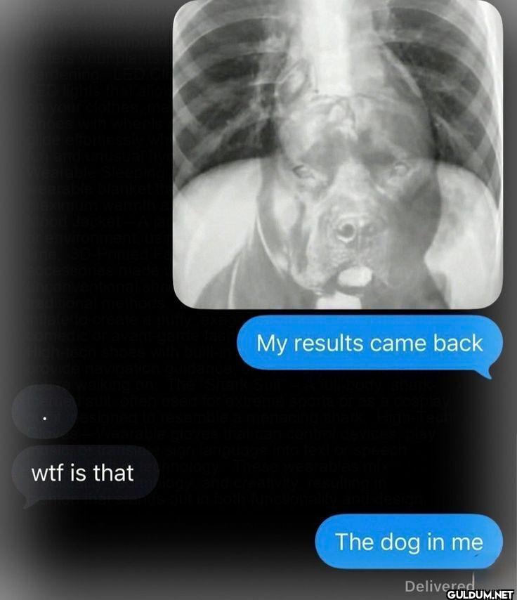 My results came back . wtf...