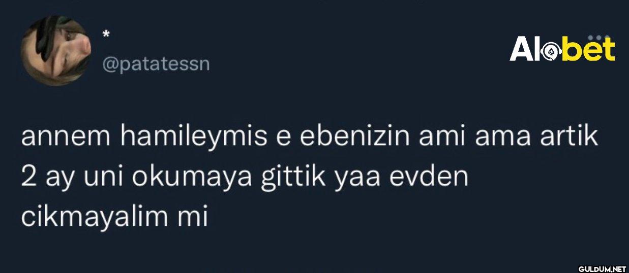annem hamileymis e...
