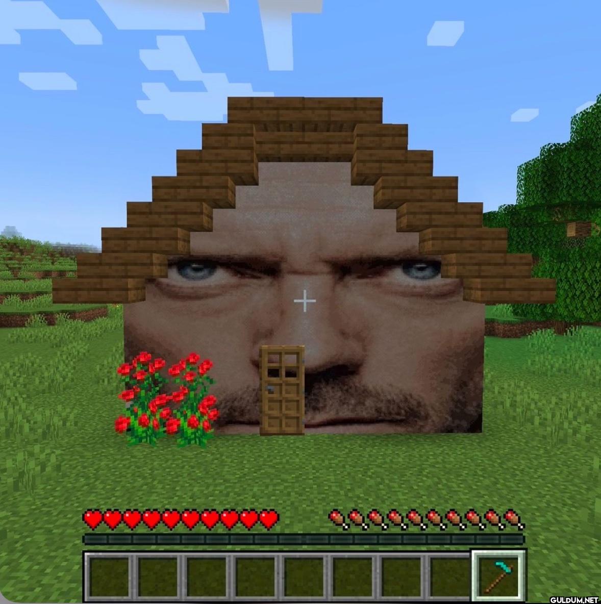 +