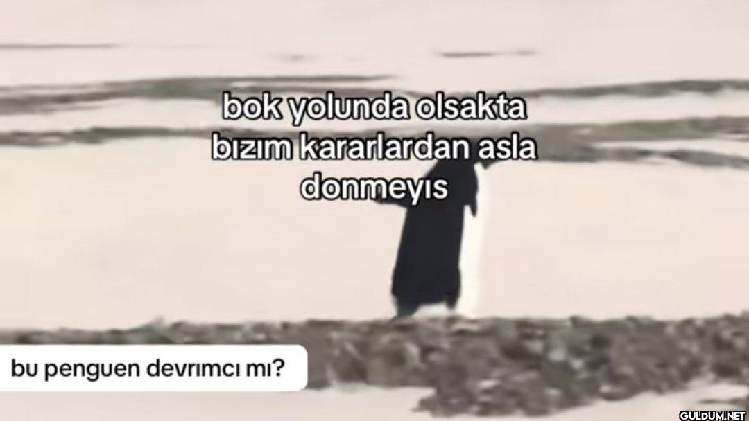 bok yolunda olsakta bızım...